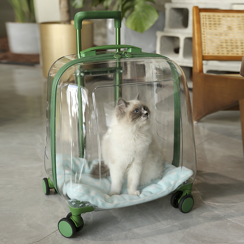 Transparent cabin Carry-on Luggage trolley wheels travel Fashion Women custom transparent suitcases Transparent Trolley Bags