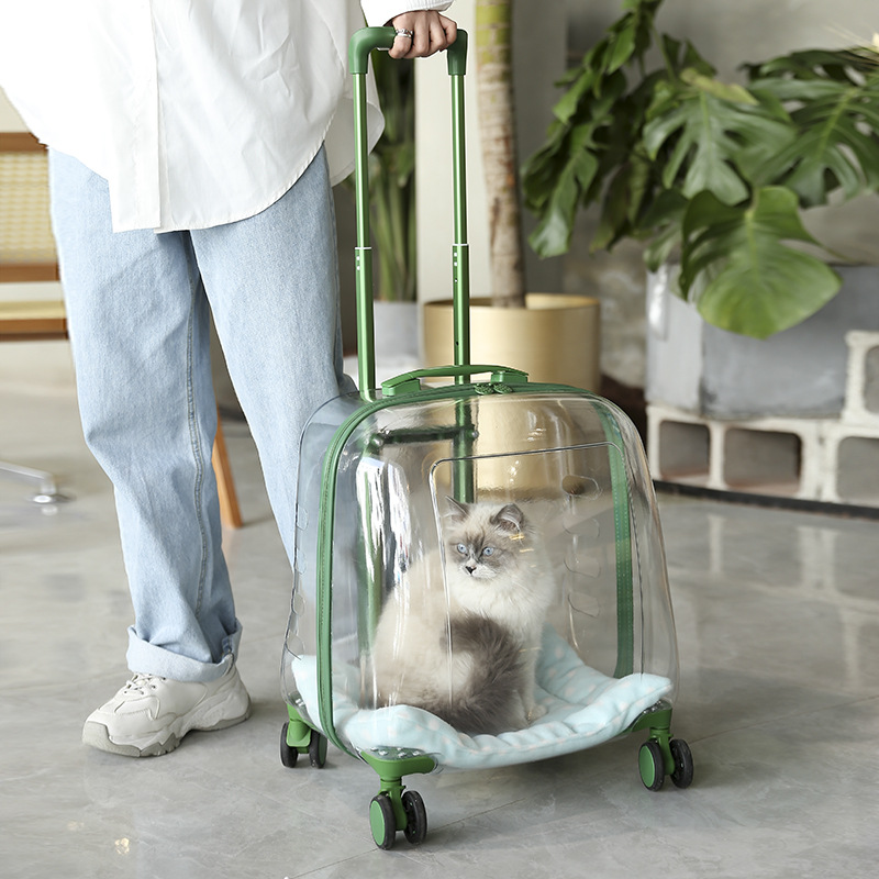 Transparent cabin Carry-on Luggage trolley wheels travel Fashion Women custom transparent suitcases Transparent Trolley Bags