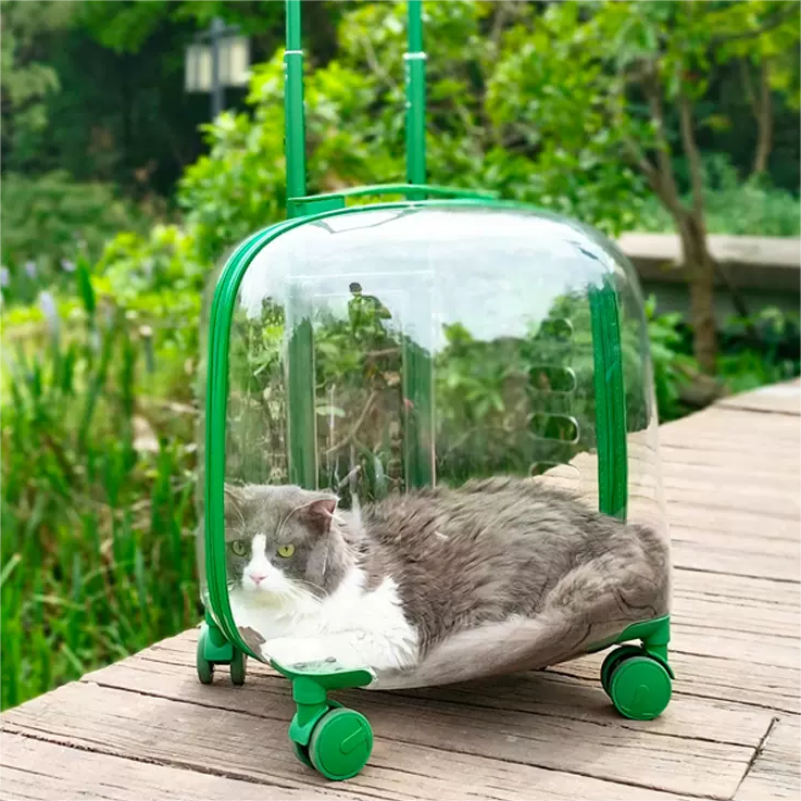 Transparent cabin Carry-on Luggage trolley wheels travel Fashion Women custom transparent suitcases Transparent Trolley Bags