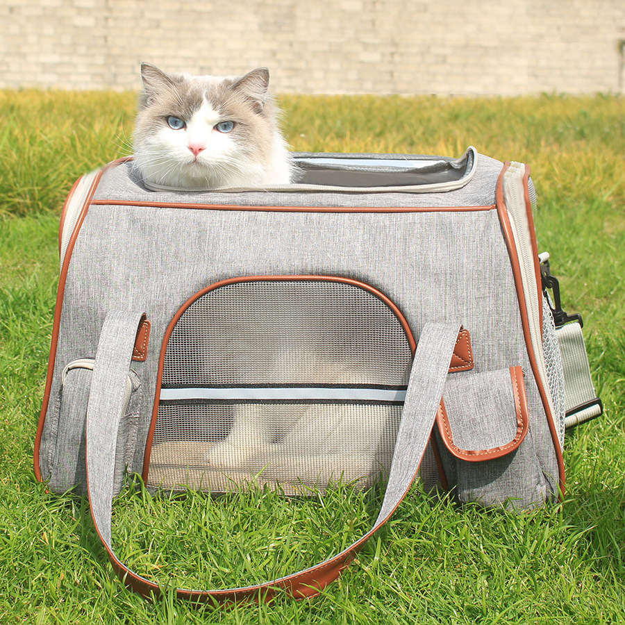 Unique Most Soft Cheapest Cat Traveler Bubble Backpack Animalerie Cats Products Dogs Accessories Other Pet Carriers Bag for dogs