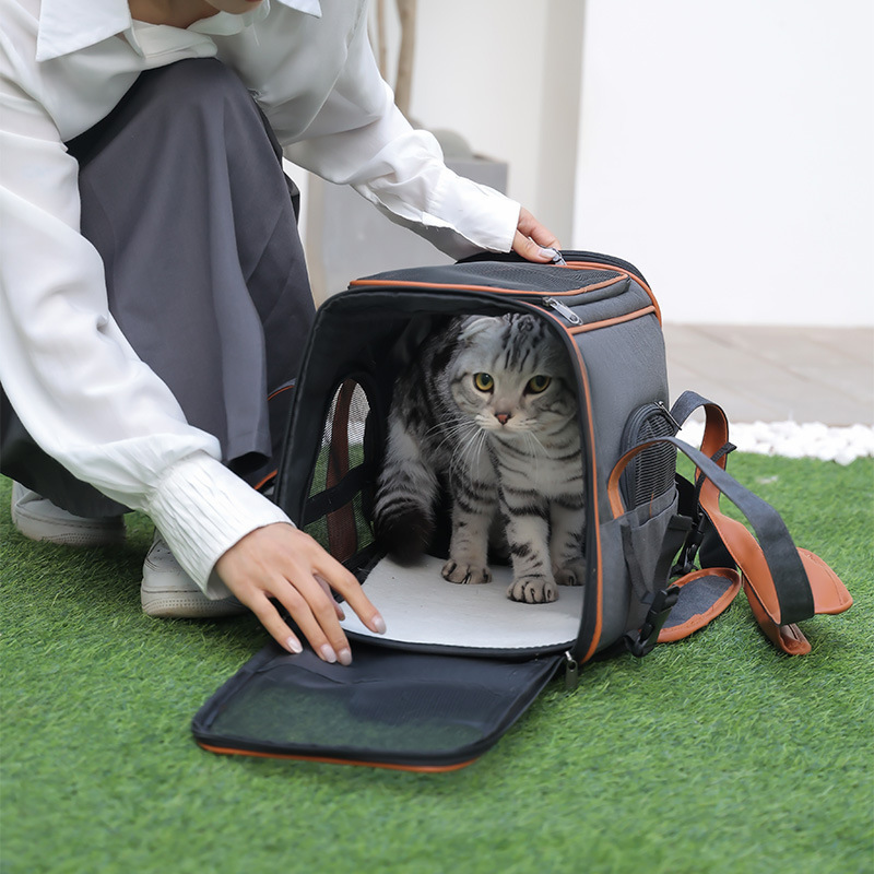 Unique Most Soft Cheapest Cat Traveler Bubble Backpack Animalerie Cats Products Dogs Accessories Other Pet Carriers Bag for dogs