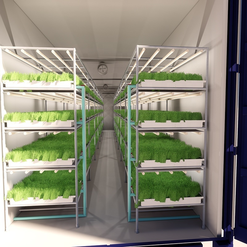 40HQ Hydroponic Container Farm Vegetable Growing Shipping Container Hydroponic Farm