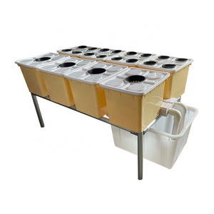 Omana Hydroponic Farm Systems Rdwc  Dutch Bucket System