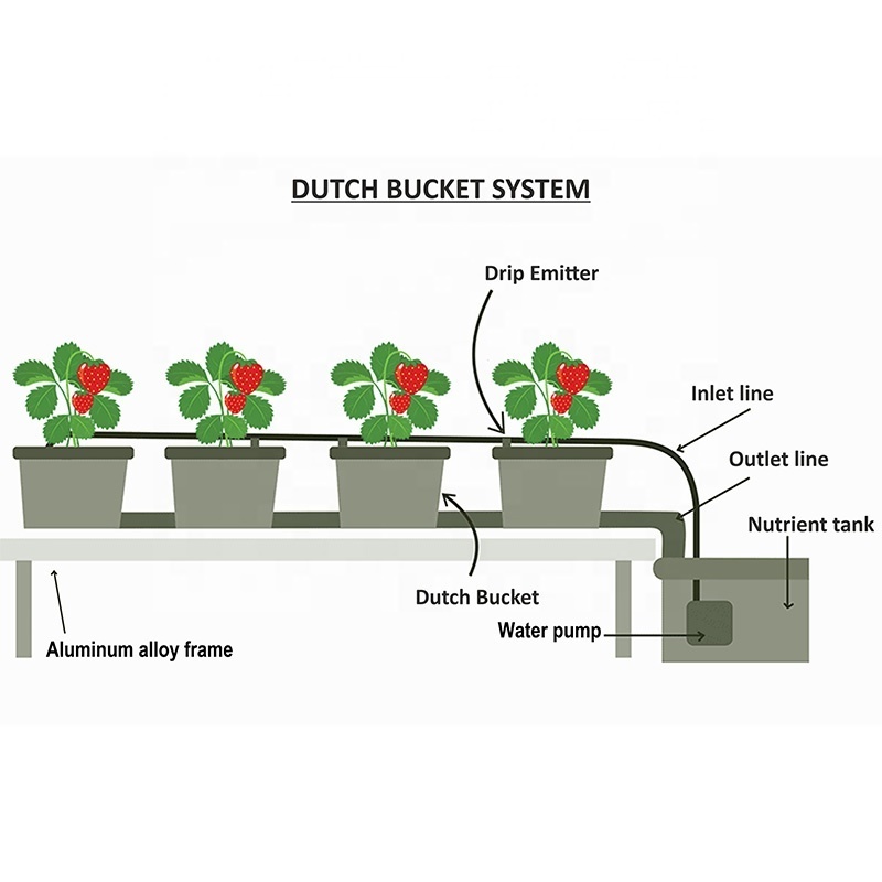 plastic bucket 3 gallon hydroponic 8 bucket system 11 L Dutch bucket