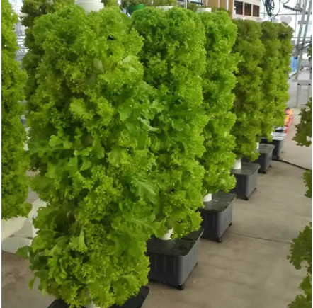 OMANA Aeroponics systems High Quality Aeroponic Tower Garden Vertical Hydroponic Grow Tower System