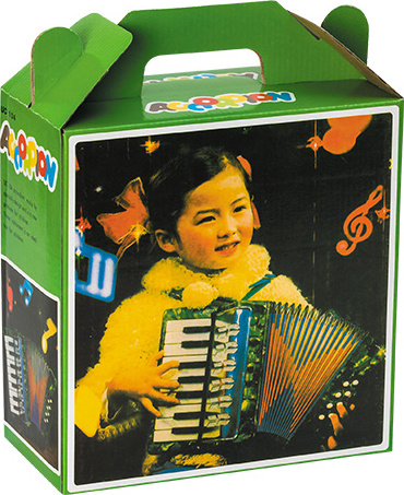 17 key 8 bass newest design and cheap black key piano accordion for sale