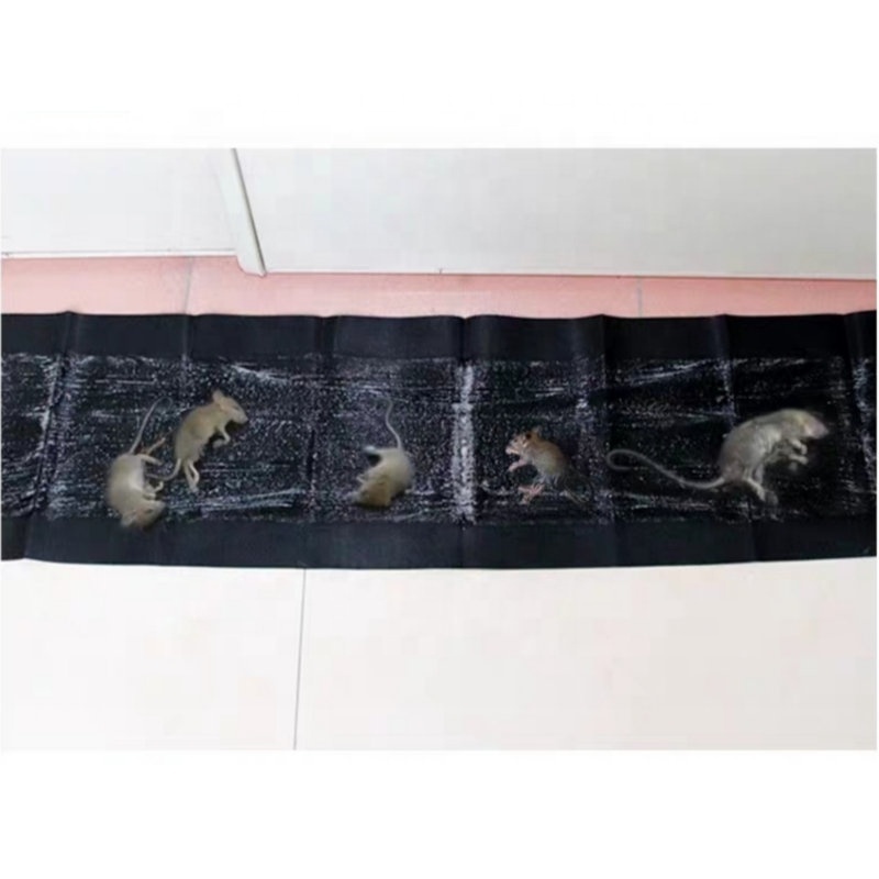 Factory Wholesale Large Mouse Rat Sticker Board Paper Mouse Glue Trap Kill Rats Killer Animal