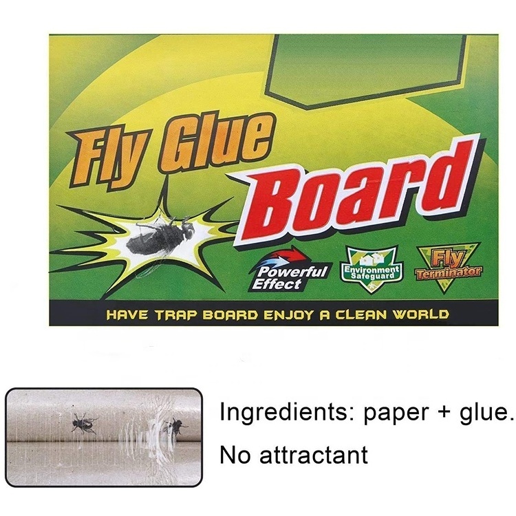 Fly Trap Indoor and Outdoor Flying Insect Glue Trap Board Non Toxic Sticky Fly Catcher for Kitchen