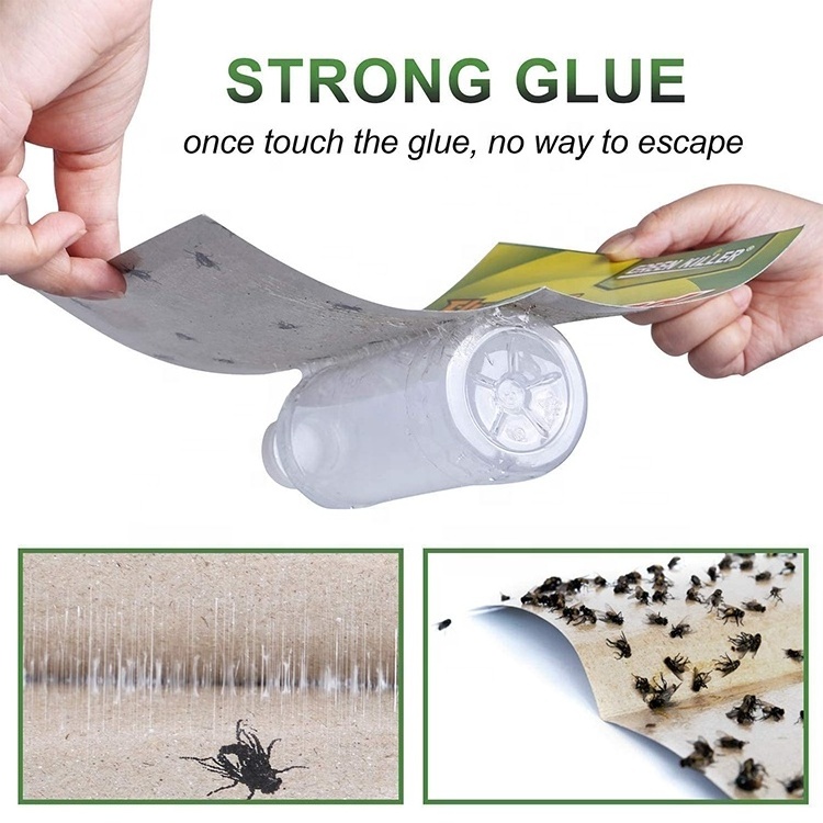 Fly Trap Indoor and Outdoor Flying Insect Glue Trap Board Non Toxic Sticky Fly Catcher for Kitchen