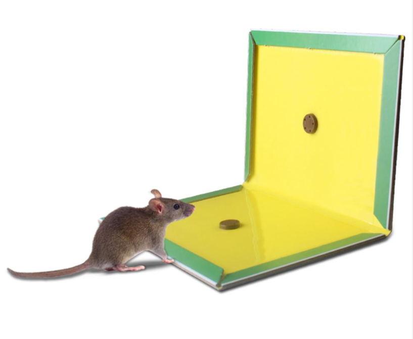 Super Sticky Adhesive Glue Board Traps for Mice Rats Catches Indoor Outdoor Extra Strength Heavy Duty Large Size Pads