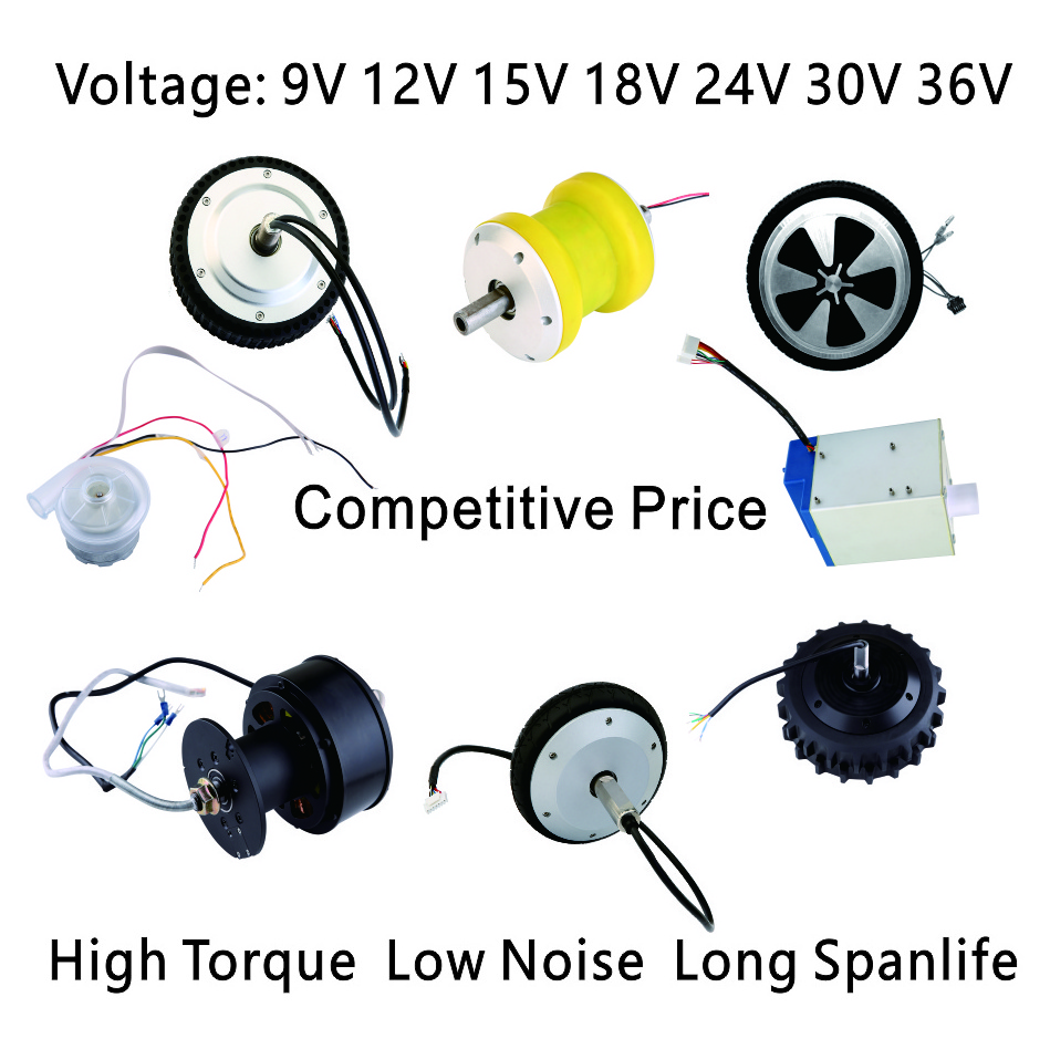 4.5 Inch DC Hub Motor Built-in-Encoder 200W 24V Brushless Electric DC Wheel Hub Motor for Service Robot