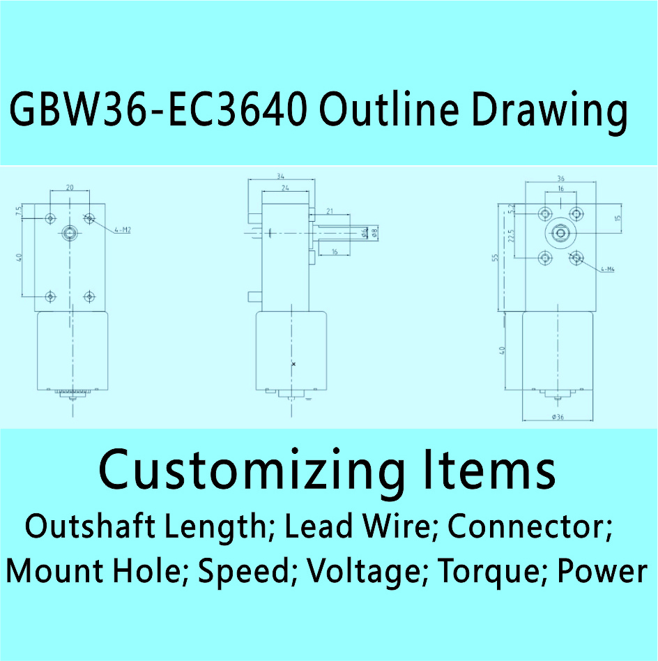 JRC GBW36-EC3640 Worm Gear Motor 36MM Worm Gearbox With Encoder High Torque 12V 24V Brushless DC Gear Motor 3640 For Robot