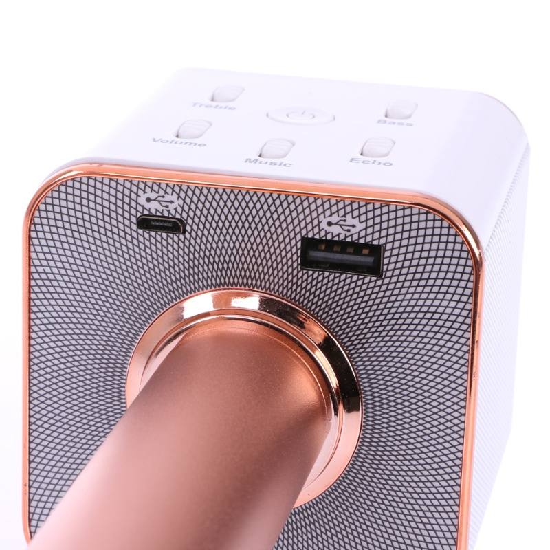 Mini conference mobile phone handheld OEM kids gifts wireless speaker singing karaoke microphone