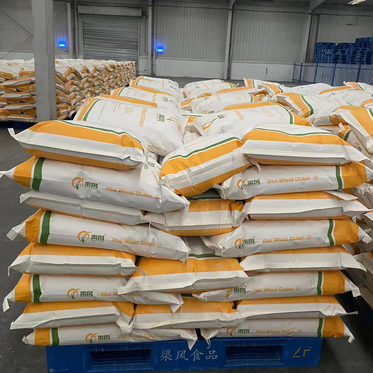 organic vital halal wheat gluten flour powder price supplier for Thailand Pakistan