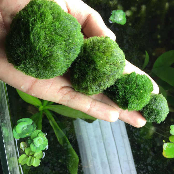 Moss Balls Fish Tank Aquarium Decorations Plants for Aquatic Pets Decorative indoor artificial plants artificial moss balls