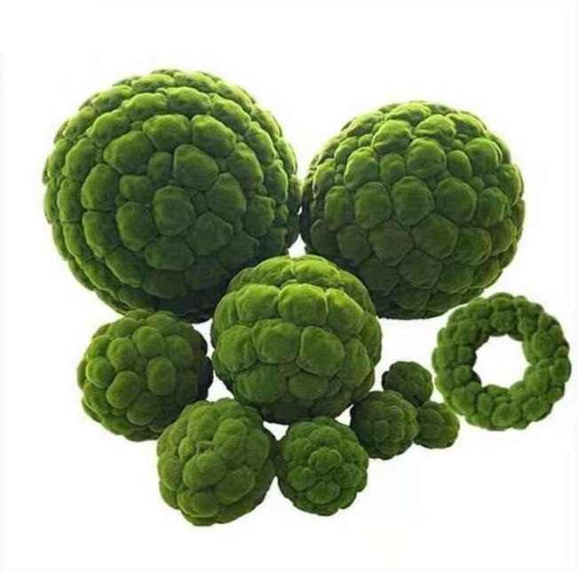 8 Size Artificial Moss Rocks Decorative, Green Moss Balls,for Floral Arrangements Gardens and Crafting Promotion