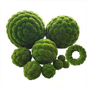 8 Size Artificial Moss Rocks Decorative, Green Moss Balls,for Floral Arrangements Gardens and Crafting Promotion