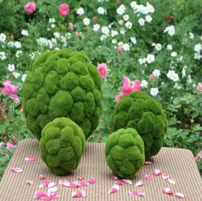 8 Size Artificial Moss Rocks Decorative, Green Moss Balls,for Floral Arrangements Gardens and Crafting Promotion