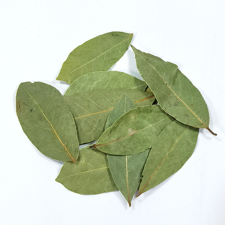 China Factory Supply Wholesale Good Price Dehydrated Dried Natural Organic Bay Leaves