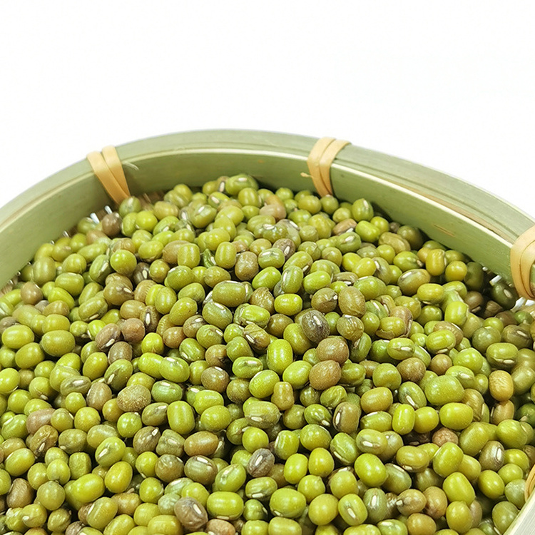 Wholesale High Quality Green Vigna Mung Beans