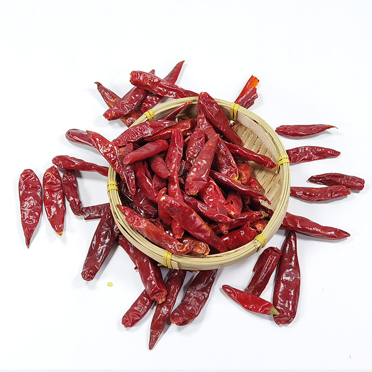 Chinese Factory Wholesale Direct Export Competitive Price Hot Spicy Chili Dried Red Chili