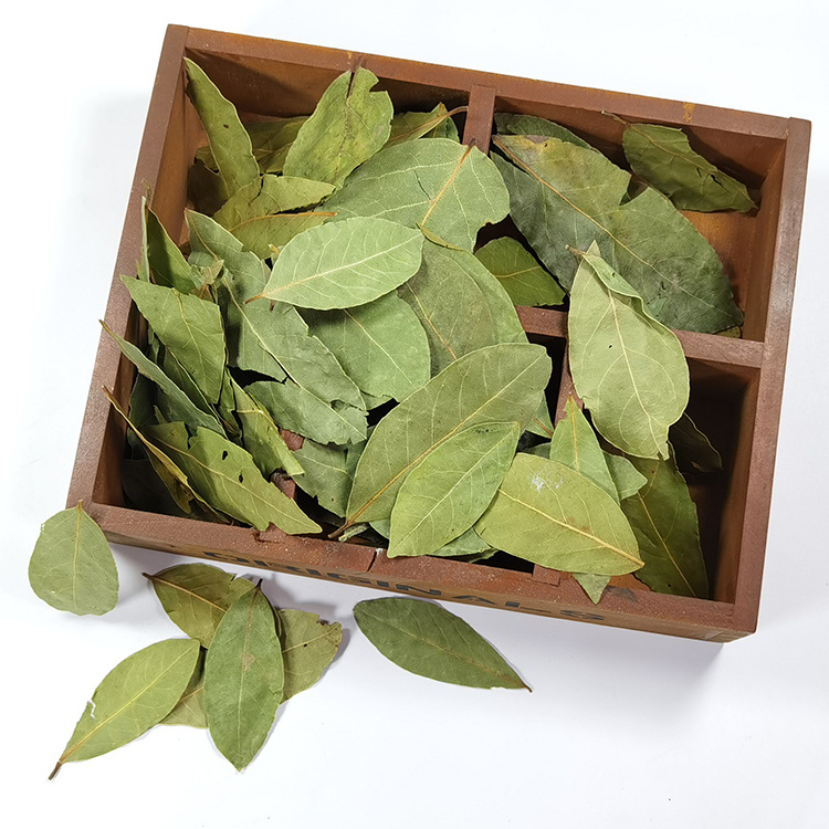 China Factory Supply Wholesale Good Price Dehydrated Dried Natural Organic Bay Leaves