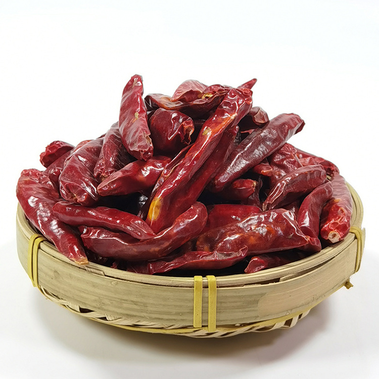 Chinese Factory Wholesale Direct Export Competitive Price Hot Spicy Chili Dried Red Chili