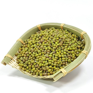 Wholesale High Quality Green Vigna Mung Beans