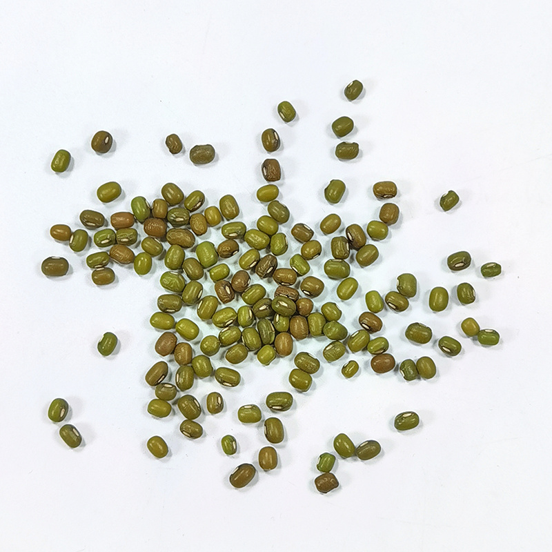 Wholesale High Quality Green Vigna Mung Beans