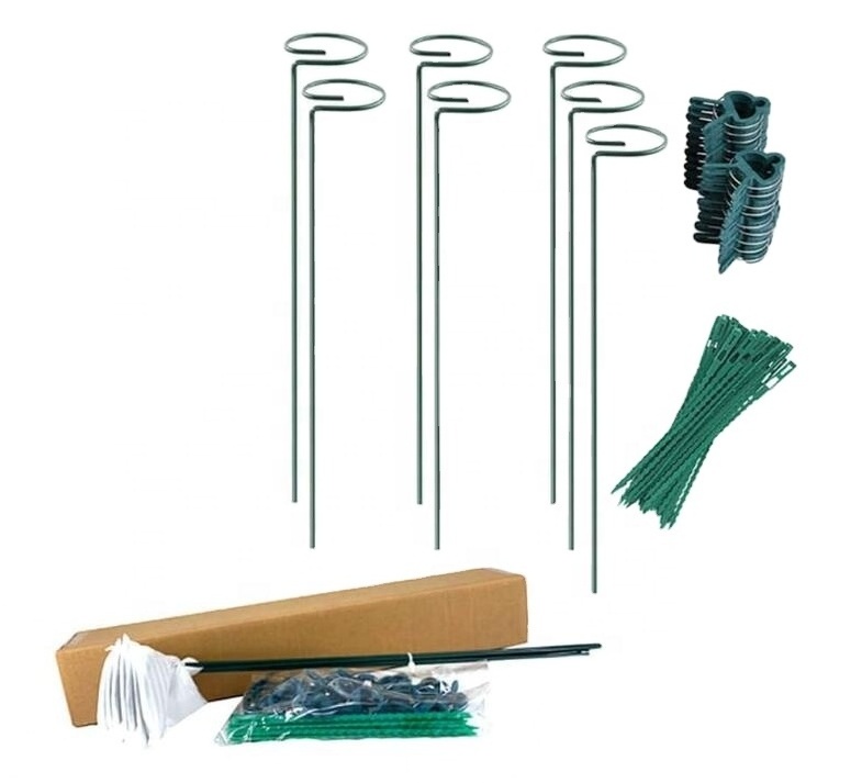 Garden Metal Plant Support Sticks Set with 7 Flower Stake 15.8 inch 20 Plant Support Clips 20 Plants Twist Ties Flower Stick