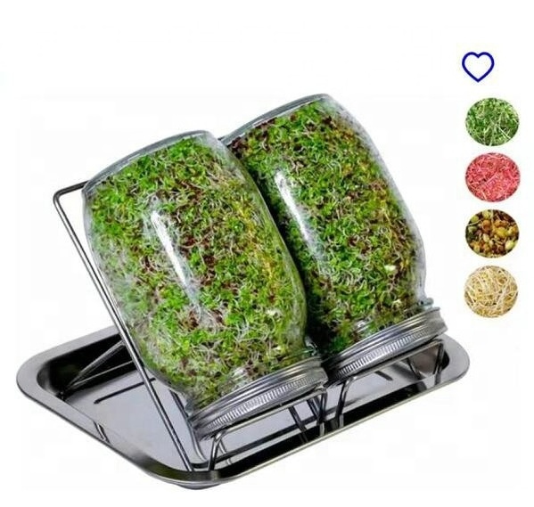 Best Seller Kitchen Gadgets 2 Pack Large Complete Wide Mouth Mason Canning Jar Seeds Sprouting Set Kit with Lids