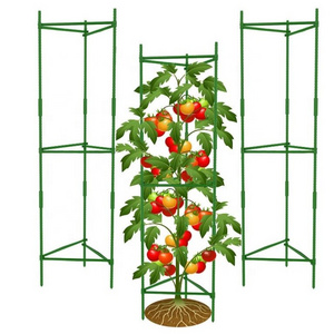 Hot Sale Anywhere Tomato Clips Plastic Garden Stake Metal Plant Support Metal Tomato Cage