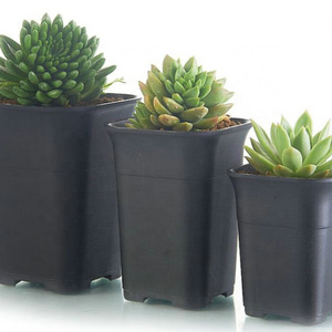 3 Size For Square Succulent Nursery Plastic Flower Pot For Indoor Home Desk Bedside Or Floor Outdoor Garden Planting Trays