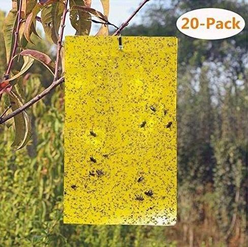 Sticky Traps, Fungus Gnats, Aphids, Other Flying Insects, 6x8 Inch, 20 Pack - Yellow