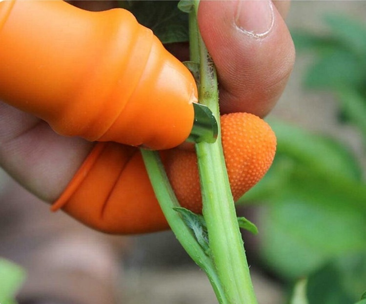 Fruit and Vegetable Picking Potted Plants Trim Pocket Garden Cutting Tools Silicone Harvesting Thumb Finger Knife Cutter Set