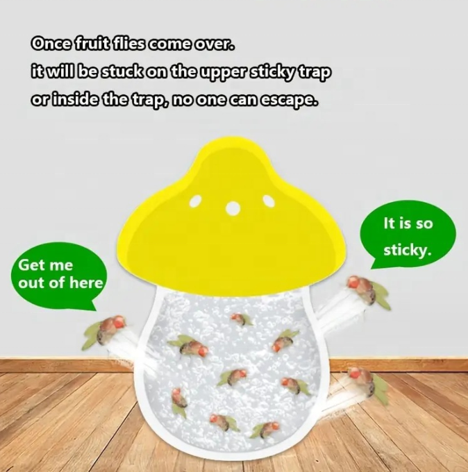 Hot Sales Eco-friendly Hanging Fly Trapping Indoor And Outdoor Use Fruit Fly Trap With Pheromone Bait