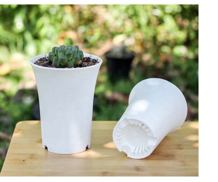 Round Polygonal Square White Black Plastic Succulent Planters Haworthia Maughanii Nursery Flower Pot Planter Home Garden Decor