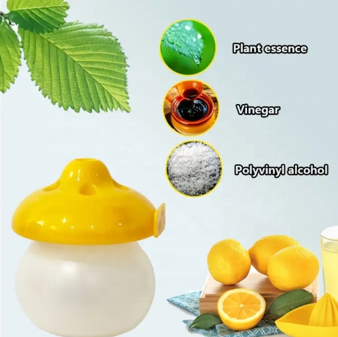 Hot Sales Eco-friendly Hanging Fly Trapping Indoor And Outdoor Use Fruit Fly Trap With Pheromone Bait