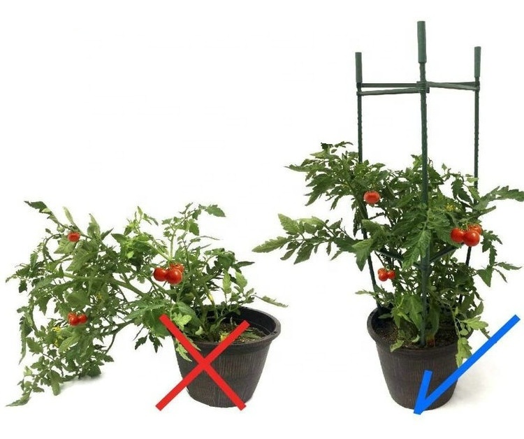 Hot Sale Anywhere Tomato Clips Plastic Garden Stake Metal Plant Support Metal Tomato Cage