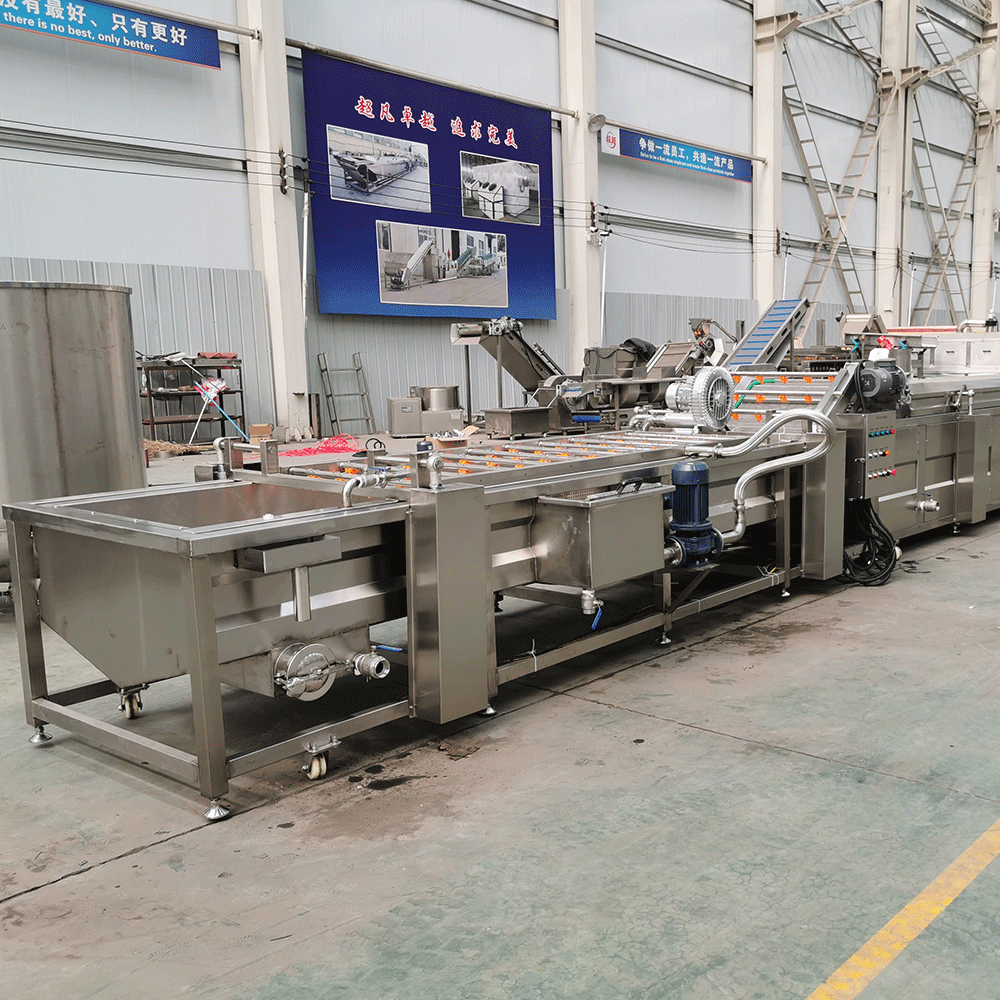 Latest Design Fruit and Vegetable blanching Machine washing and cooling machine