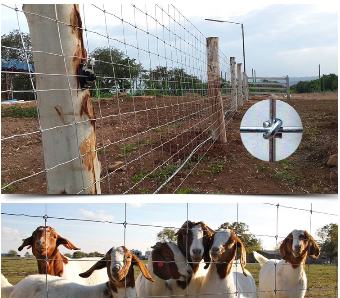 cheap wholesale barb wire fence roll farm farm and field fence goat wire farm fencing