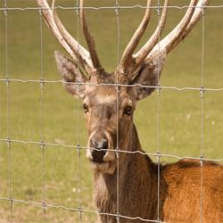 cheap wholesale barb wire fence roll farm farm and field fence goat wire farm fencing