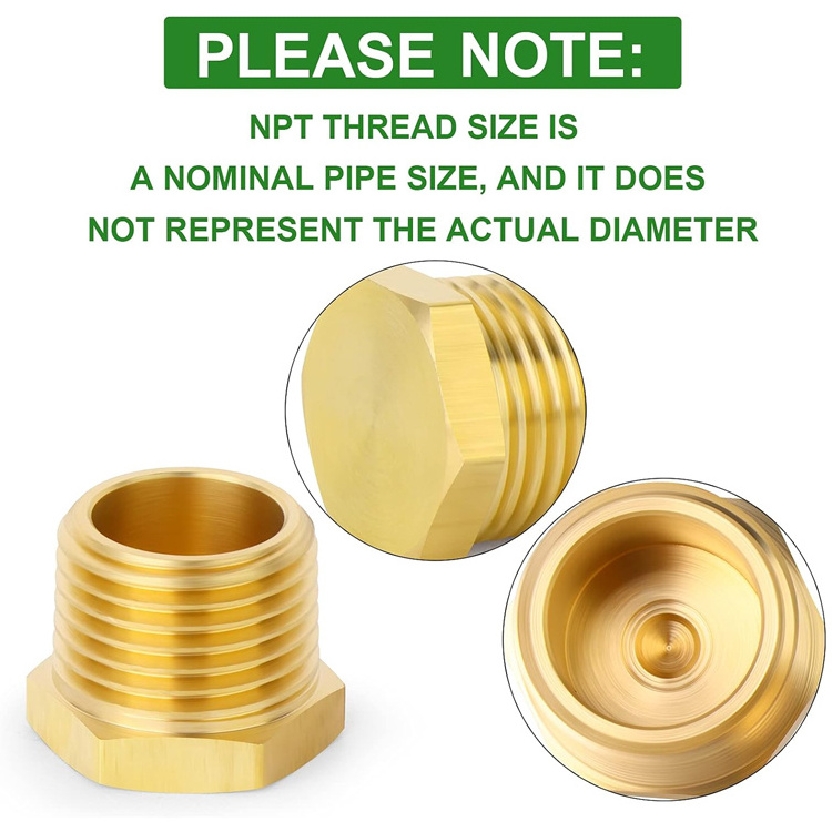 Hot Sale Brass Outer Hex Thread Socket Pipe Plug Fitting