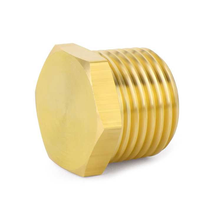 Hot Sale Brass Outer Hex Thread Socket Pipe Plug Fitting