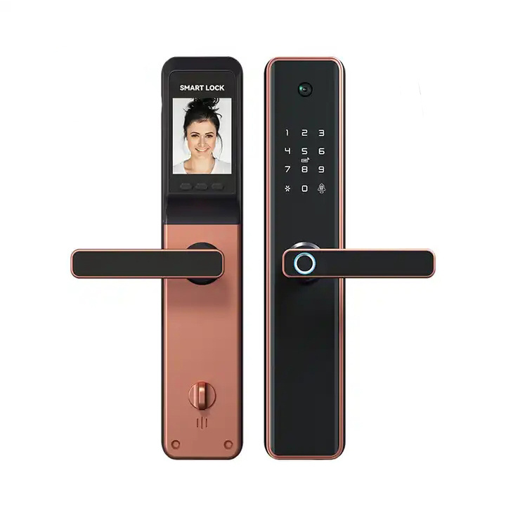 Aidmi Intelligent Remote Unlock Wireless Handle Lever Keyless Entrance Outdoor Cat's Eye Fingerprint Smart Door Lock