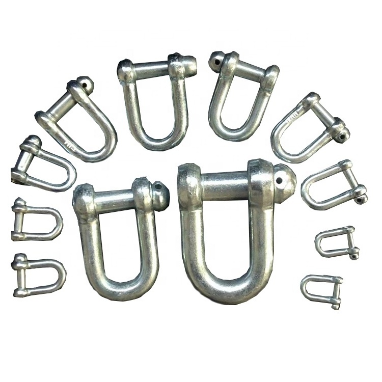 D Shackle Stainless Steel Shackle Marine Rigging Lifting Boat D Shackle