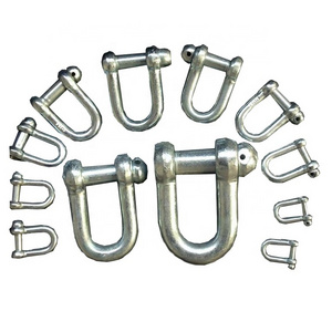 D Shackle Stainless Steel Shackle Marine Rigging Lifting Boat D Shackle