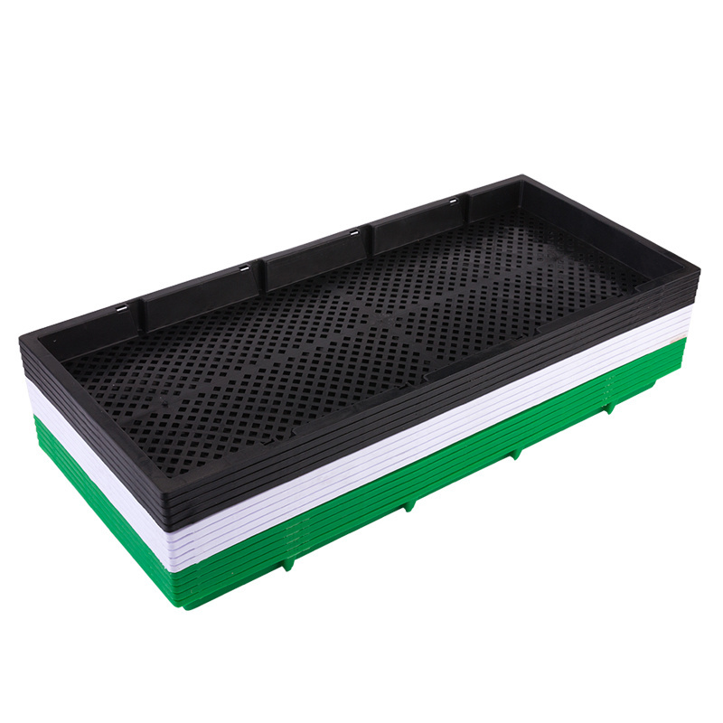 590*240*35mm black seedling tray factory wholesale high quality best price seed tray fast delivery from china