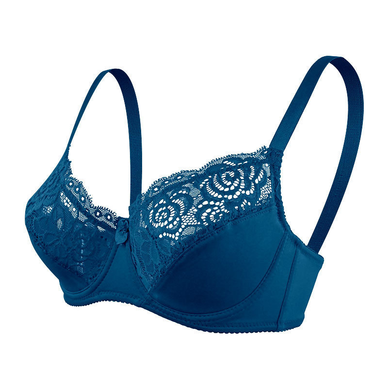 European Style Plus Size Lace Bra with Wire: Wholesale Comfort and Lift