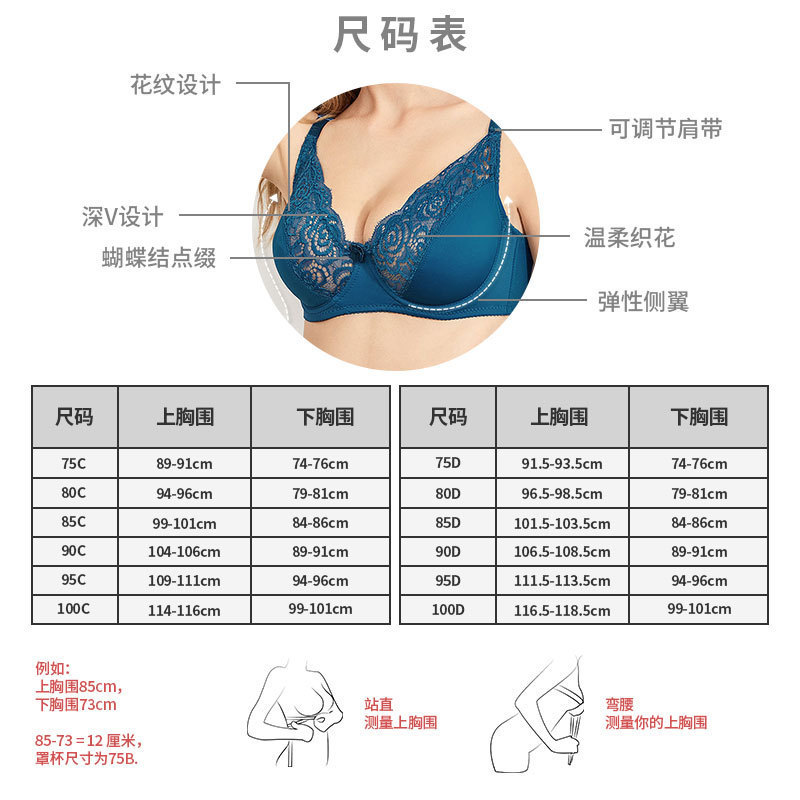 European Style Plus Size Lace Bra with Wire: Wholesale Comfort and Lift